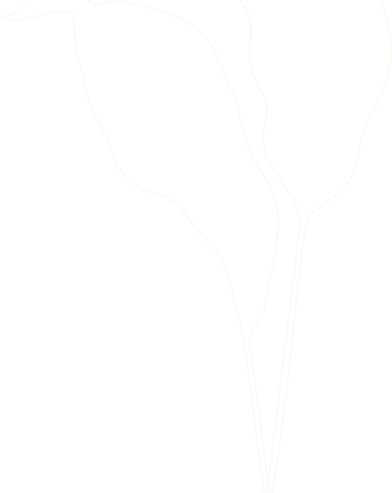 e81cca8c2b1dd27010897cdfc307998023423891